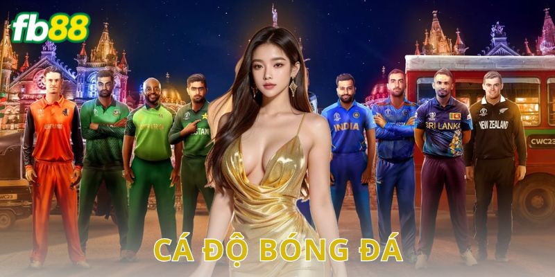 cá độ bóng đá FB88