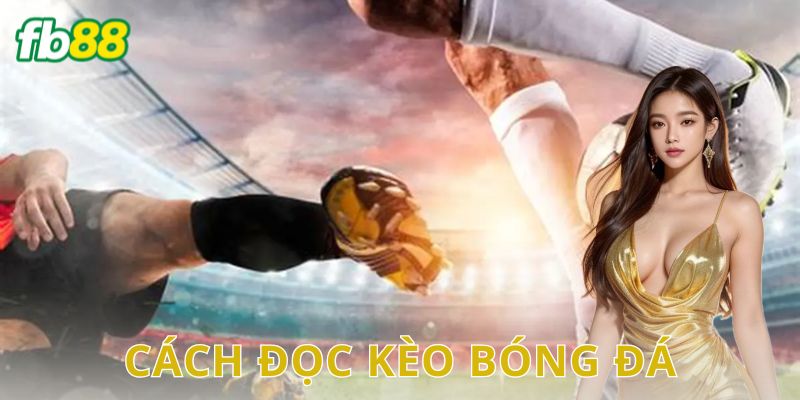 Cách đọc kèo bóng đá FB88