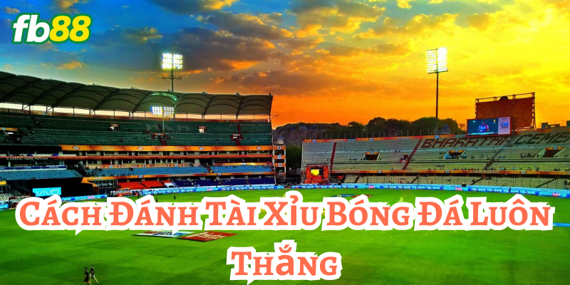 Mẹo hay và kinh nghiệm của dân lâu năm