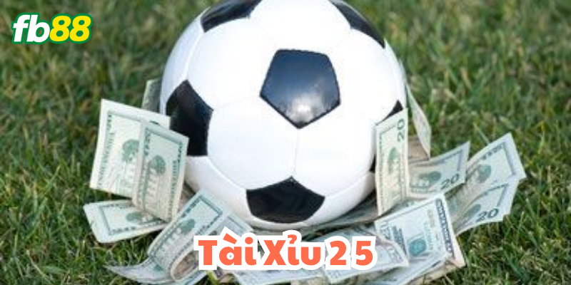 Tài Xỉu 2 5 - Bet thủ biết gì?