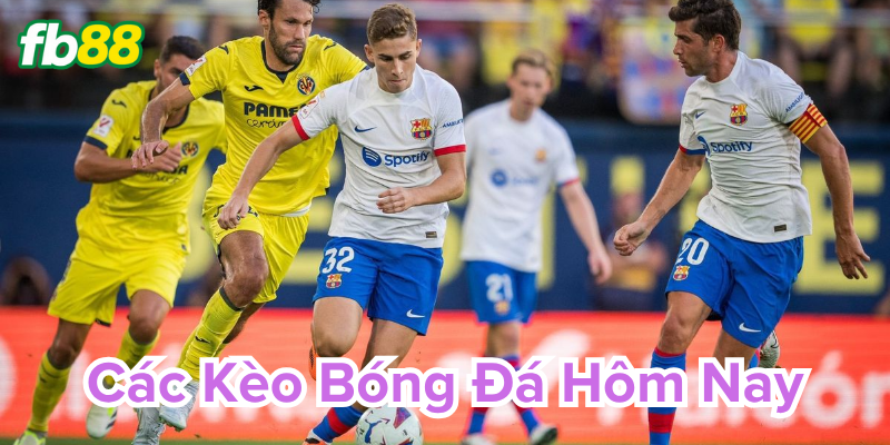 4 loại kèo phổ biến hiện nay