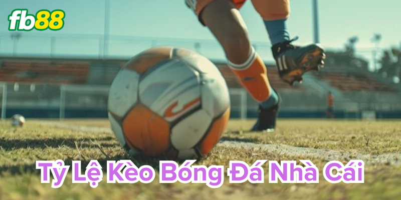 Giải mã Tỷ Lệ Kèo Bóng Đá Nhà Cái