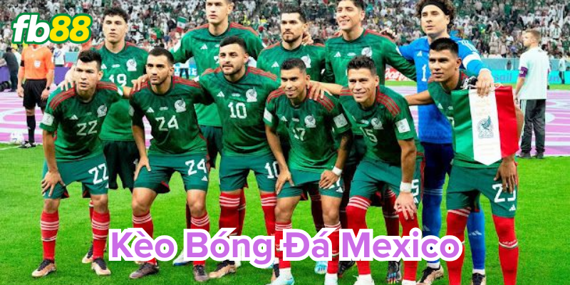 Vì sao Kèo Bóng Đá Mexico được ưa thích?