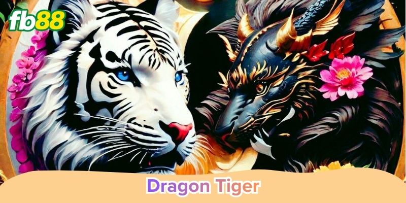 Dragon Tiger và 3 kiến thức quan trọng cho newbie