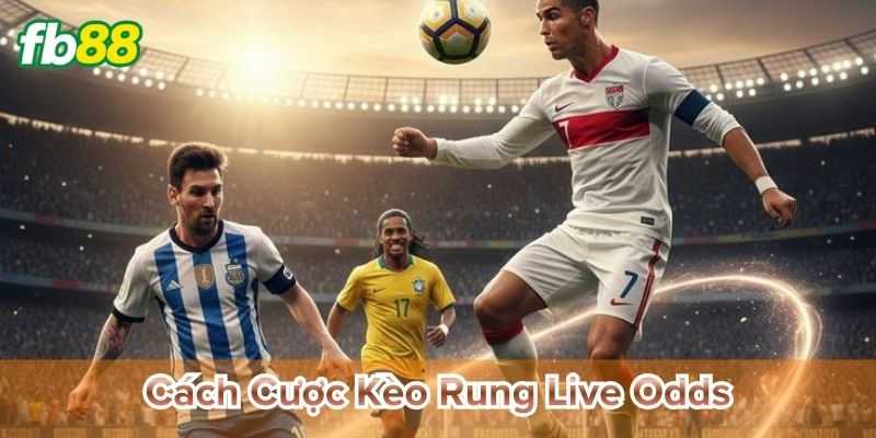 Cách cược kèo rung live odds tránh bẫy
