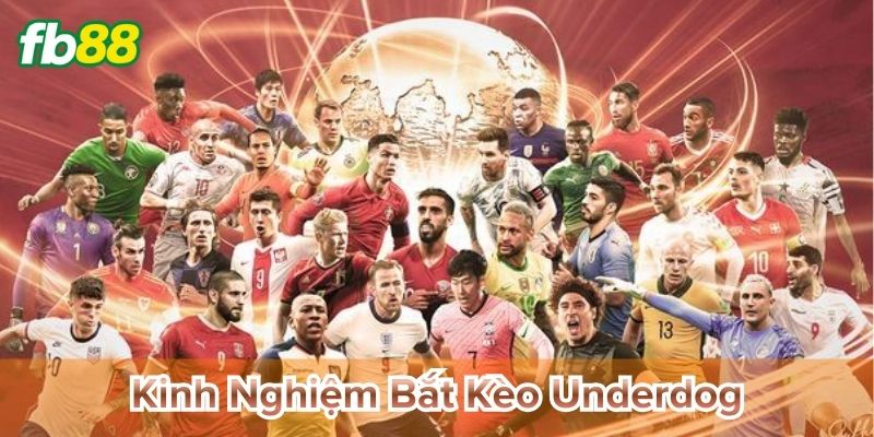 Kinh Nghiệm Bắt Kèo Underdog nhận diện kèo giá trị