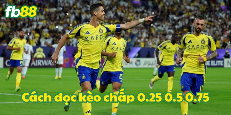 Cách đọc kèo chấp 0.25 0.5 0.75 cần lưu ý gì?