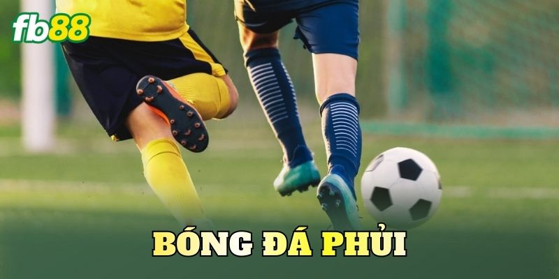Bóng Đá Phủi