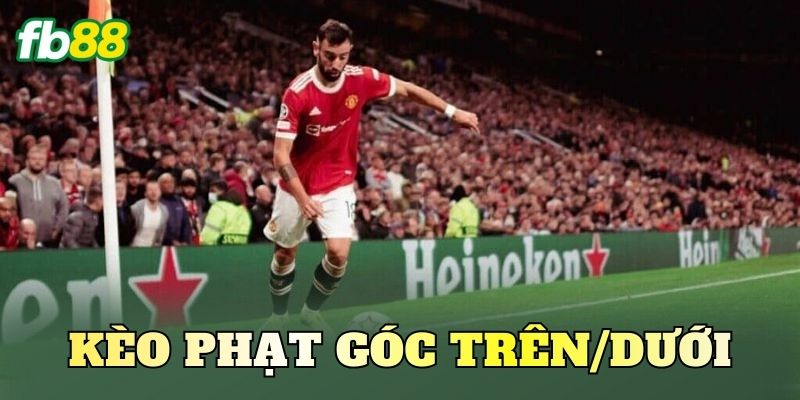 Kèo Phạt Góc Trên/Dưới