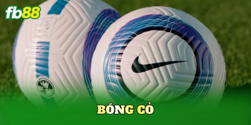 Bóng Cỏ
