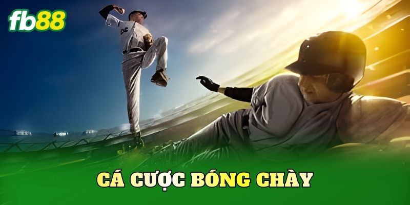 Cá Cược Bóng Chày