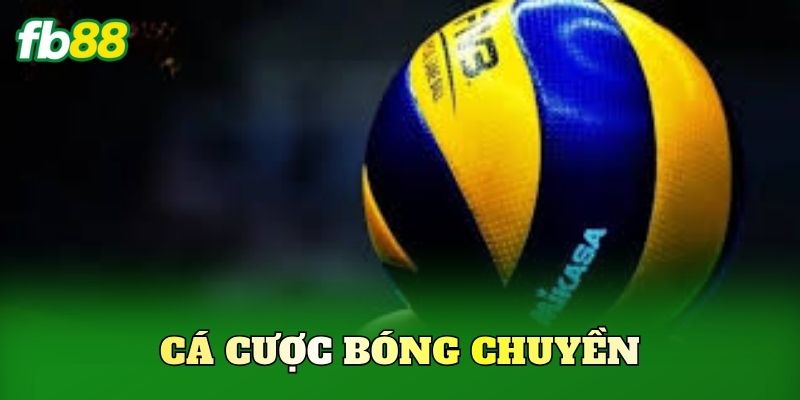 Cá Cược Bóng Chuyền