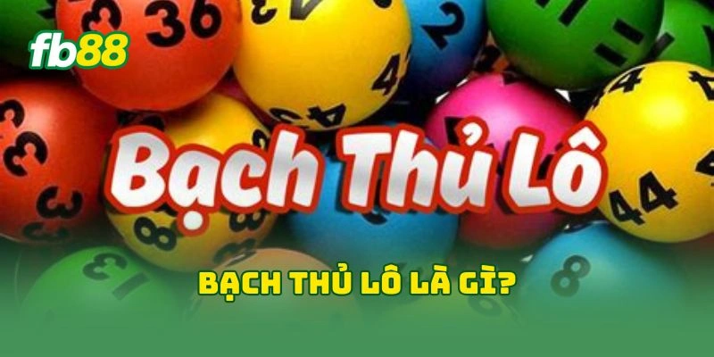 Bạch thủ lô là gì?