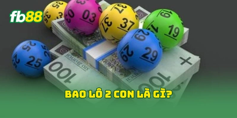 Bao lô 2 con là gì?