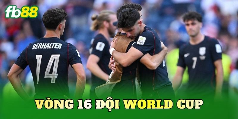 Vòng 16 Đội World Cup