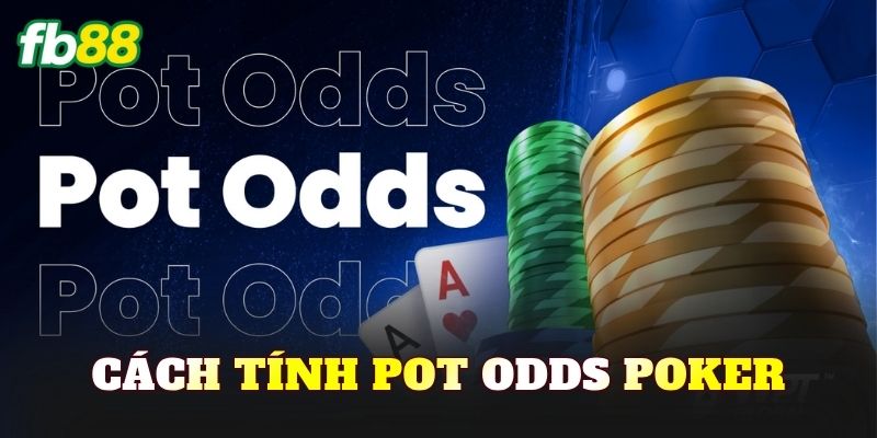 Cách Tính Pot Odds Poker