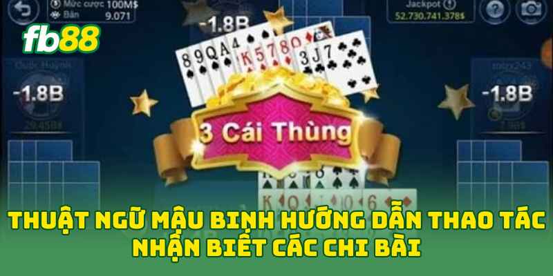 Thuật Ngữ Mậu Binh hướng dẫn thao tác nhận biết các chi bài 